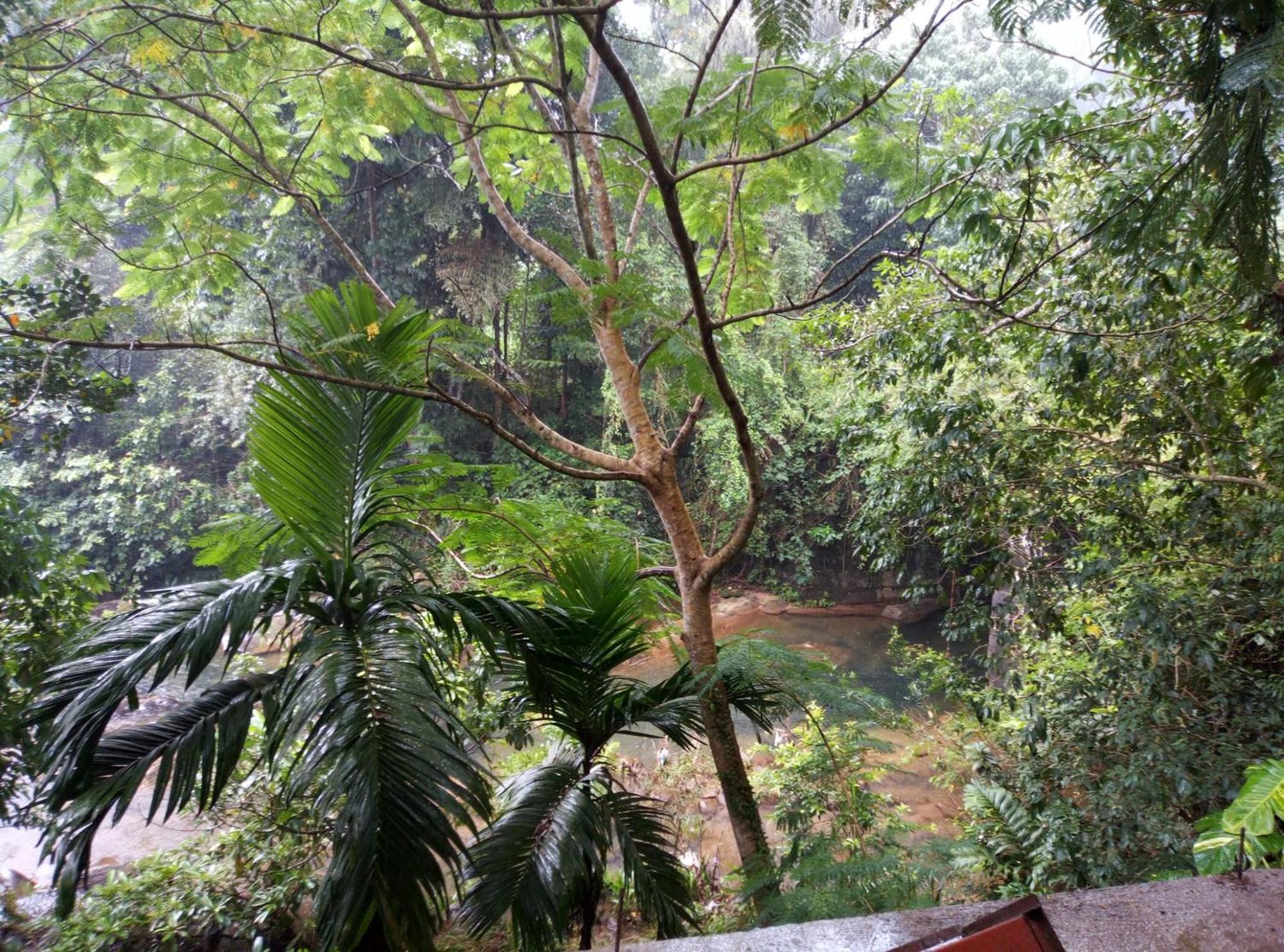 Old Bridge Riverside Hotel Kitulgala Extérieur photo