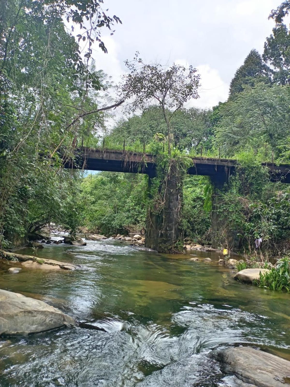 Old Bridge Riverside Hotel Kitulgala Extérieur photo